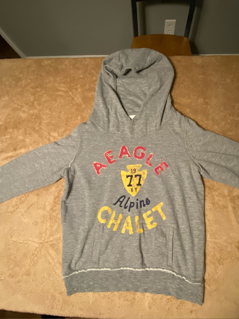 Gray Graphic Hoodie Sweatshirt - AEO-Inspired Chalet Design